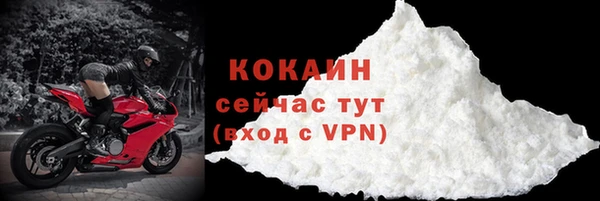 крисы Новозыбков