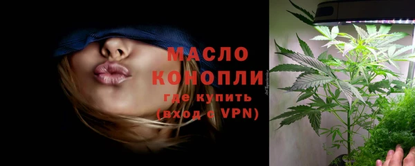 крисы Новозыбков