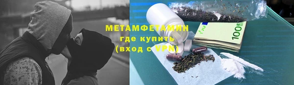 крисы Новозыбков