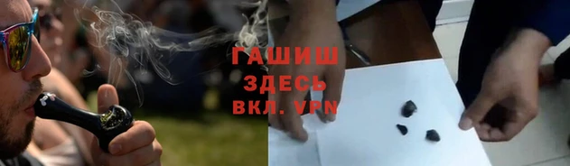 шишки Новодвинск