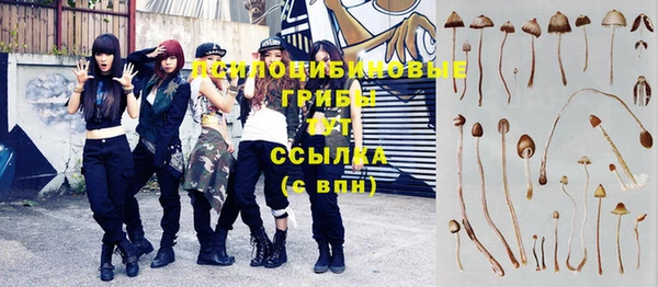 шишки Новодвинск