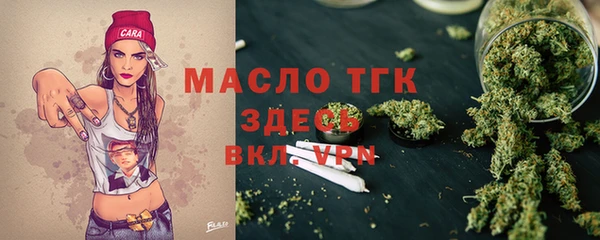 шишки Новодвинск
