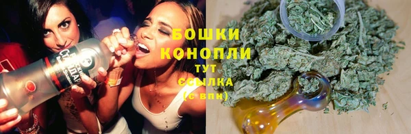 шишки Новодвинск